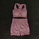 Women Seamless yoga Suits set