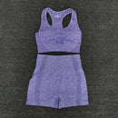Women Seamless yoga Suits set