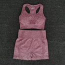 Women Seamless yoga Suits set