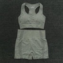 Women Seamless yoga Suits set