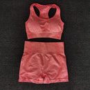 Women Seamless yoga Suits set