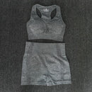 Women Seamless yoga Suits set