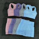Women  Seamless yoga Suits set