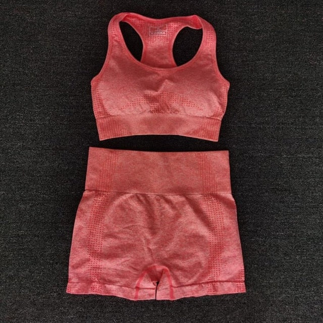 Women  Seamless yoga Suits set